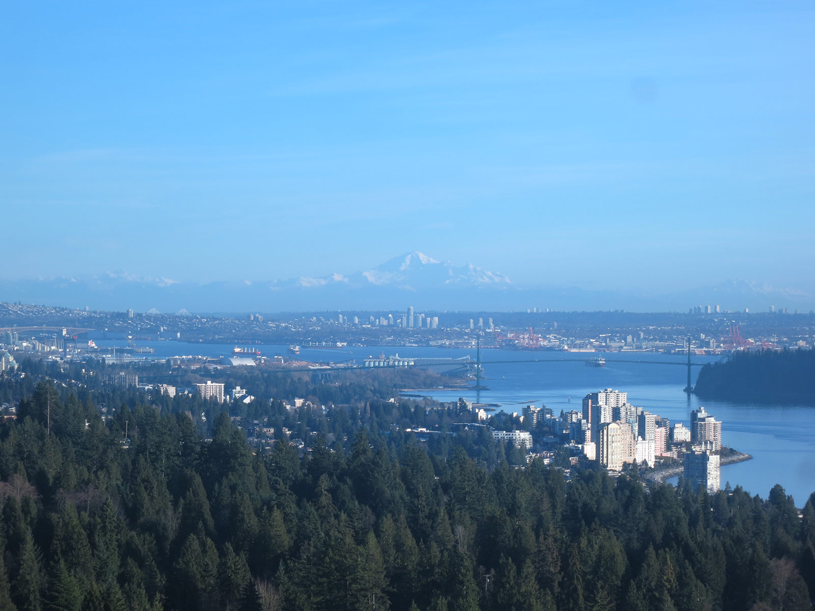 Listing Image of 1303 - 3335 Cypress Pl