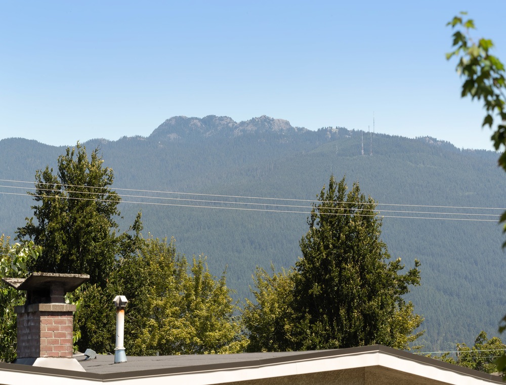 Listing Image of 202 4272 Albert St